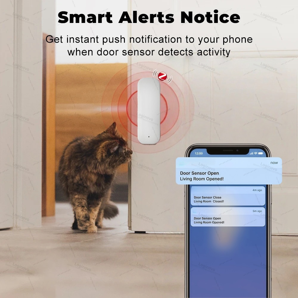 Tuya Zigbee Door Sensor Window - Zigbee Door Window Sensor review and price
