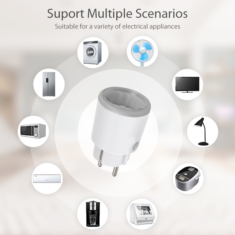 Tuya Zigbee Smart Power Plug 1 - Zigbee Smart Plug Energy Monitor review and price