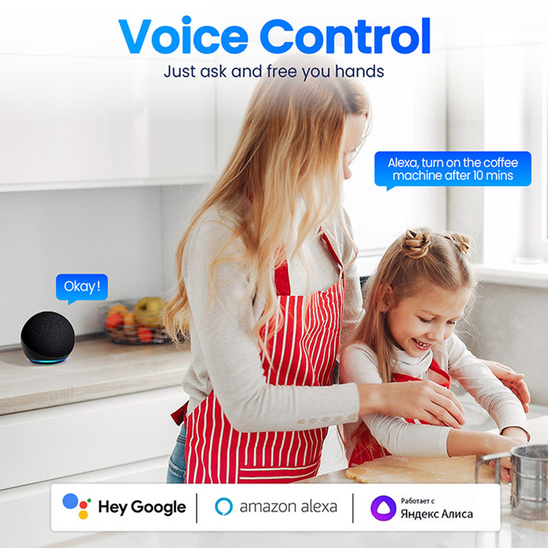 Vietnam Standard Zigbee Smart  - Zigbee Smart Plug Energy Monitor review and price